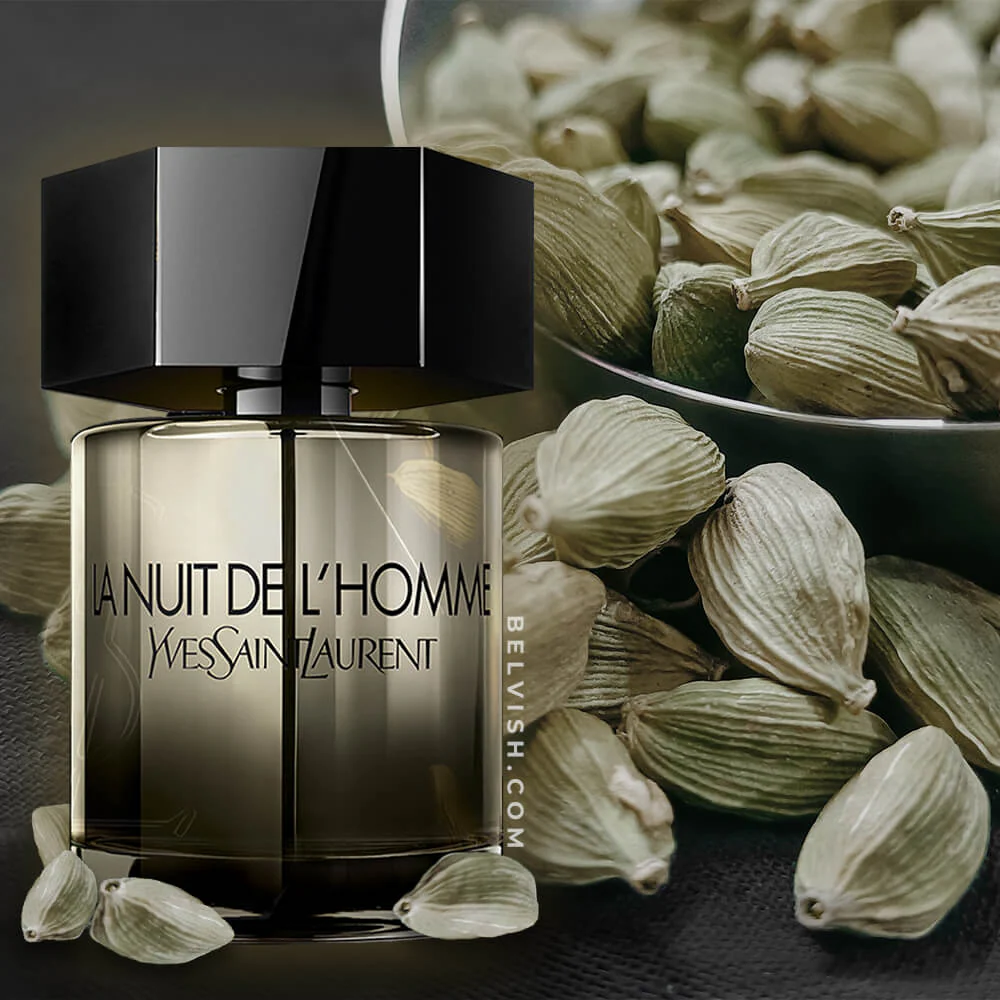 YSL La nuit de l'homme