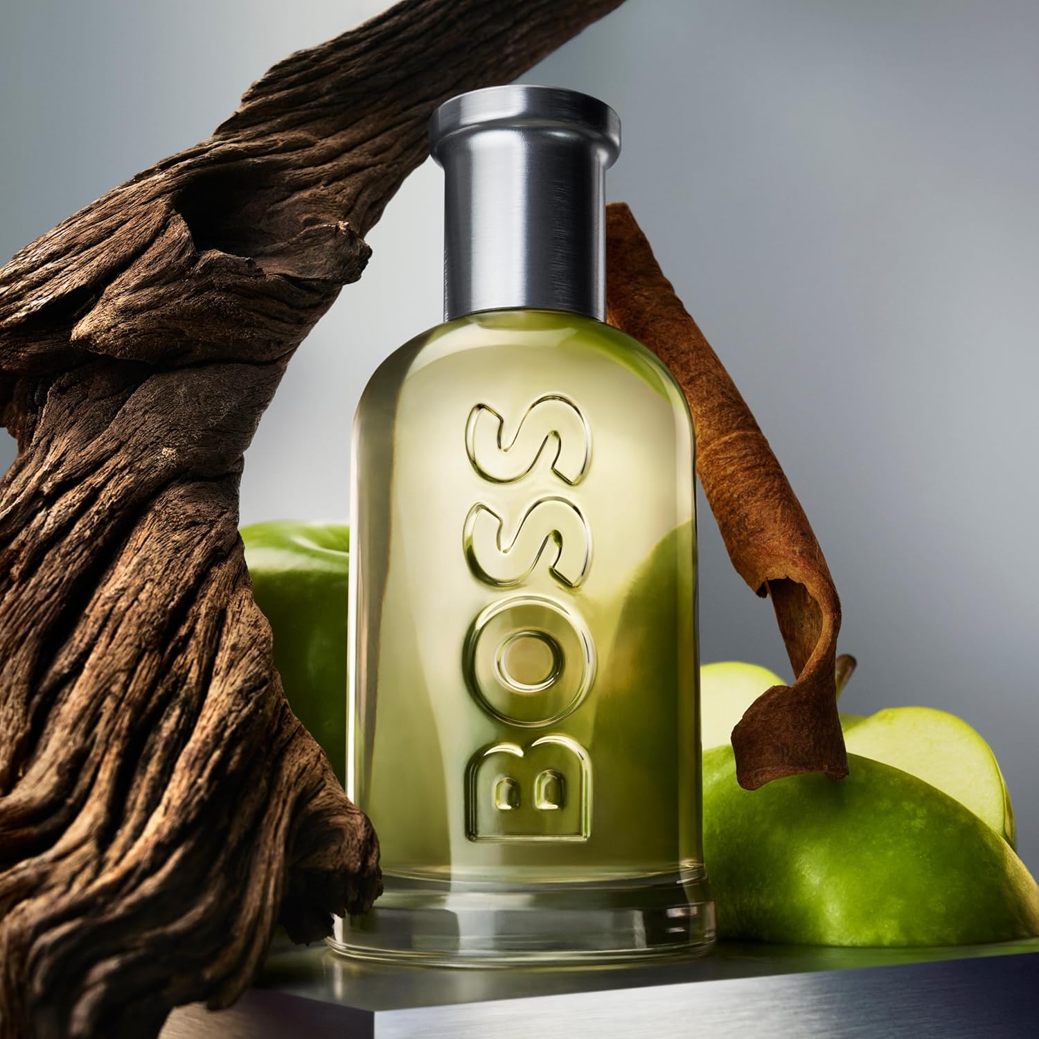 Hugo Boss Bottled Eau de Toilette (100ml)