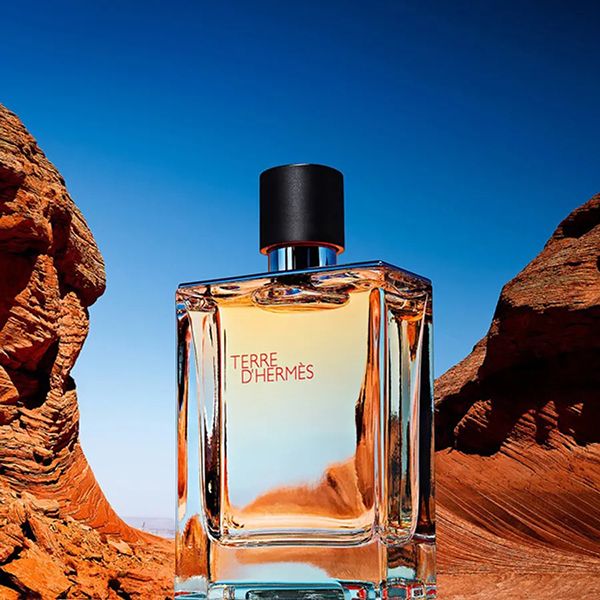 Terre D'Hermes by Hermes EDT (200ml)